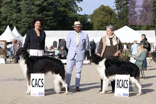 CACS ET RCACS MALES