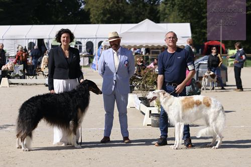 bob et bos barzoi