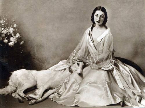 barzoi ancienne image